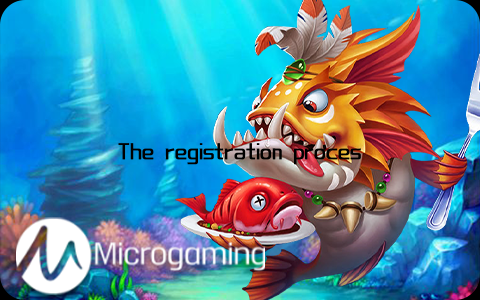 The registration process ensures that players have a secure and personalized gaming experience