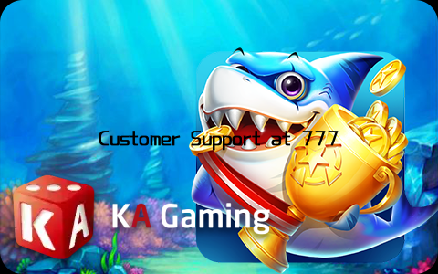 Customer Support at 777pubCustomer support is another critical aspect of 777pub